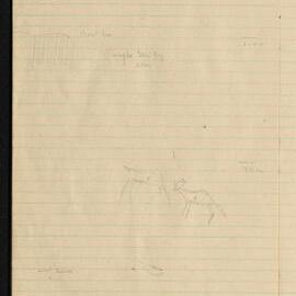 Peter Genge field notes. 02206