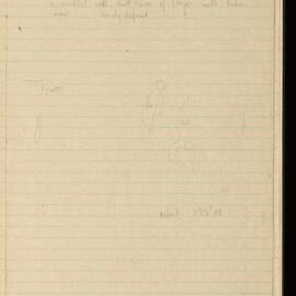 Peter Genge field notes. 02209