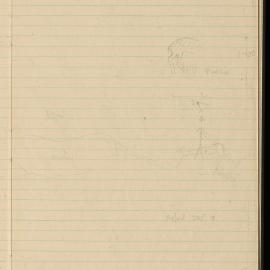 Peter Genge field notes. 02387