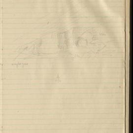 Peter Genge field notes. 02581