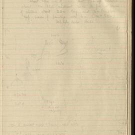 Peter Genge field notes. 02589
