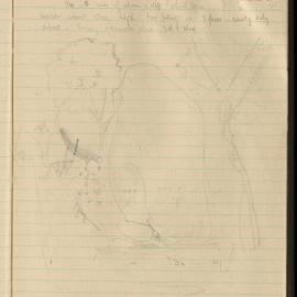 Peter Genge field notes. 02603
