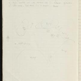 Peter Genge field notes. 02771