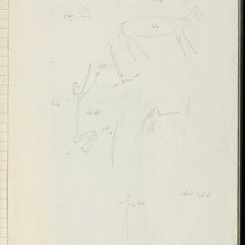 Peter Genge field notes. 02774