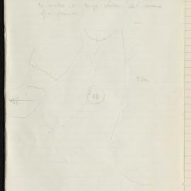 Peter Genge field notes. 02964