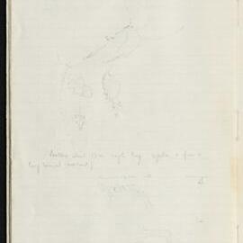 Peter Genge field notes. 03169
