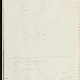 Peter Genge field notes. 03171