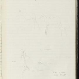 Peter Genge field notes. 03238