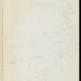 Peter Genge field notes. 03357