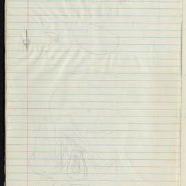 Peter Genge field notes. 03360