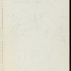 Peter Genge field notes. 03361