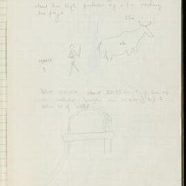 Peter Genge field notes. 03365