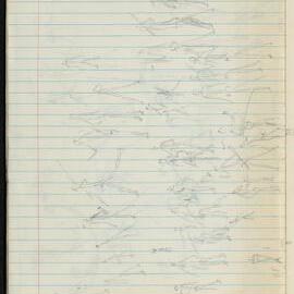 Peter Genge field notes. 03553