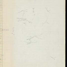 Peter Genge field notes. 03554