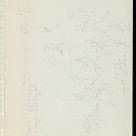 Peter Genge field notes. 03562