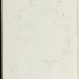 Peter Genge field notes. 03673