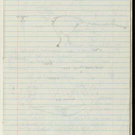 Peter Genge field notes. 03674