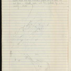 Peter Genge field notes. 03756