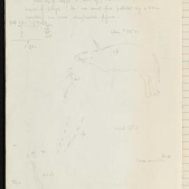 Peter Genge field notes. 03760