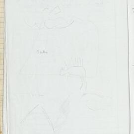 Peter Genge field notes. 03962
