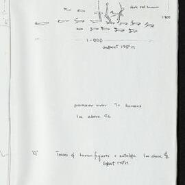 Peter Genge field notes. 03967