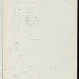 Peter Genge field notes. 03980