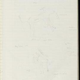 Peter Genge field notes. 03998