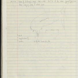 Peter Genge field notes. 04009