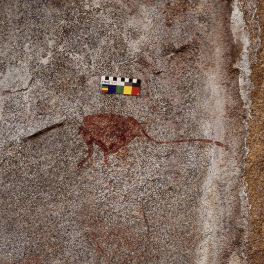 2028 A4 041 (Woody's Wonder)