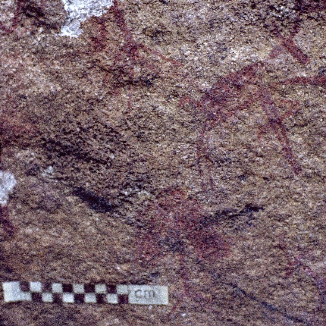 2028 C2 MISC-004 (Horace the Horse)