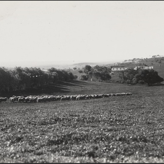 Yanget Station, Geraldton