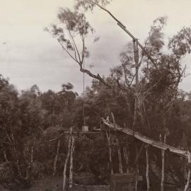 Battye photograph 24028P