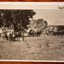Horses outside Quan Sing & Co.