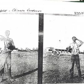 Nullagine, Chinese Gardener, 1908