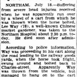 Horse Bolts: Aged Chinese Fatally Injured