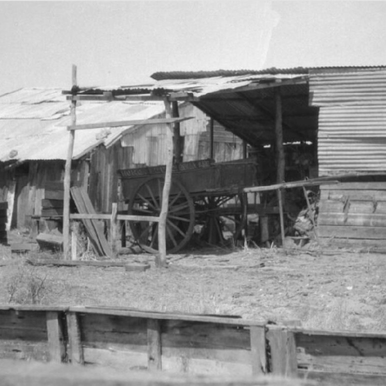 Sue War's Market Garden, Bibra Lake