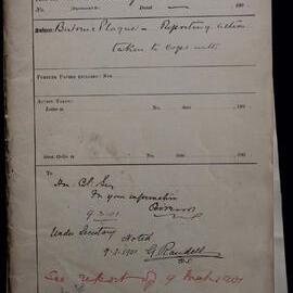 Bub Plague partial 1901-0561