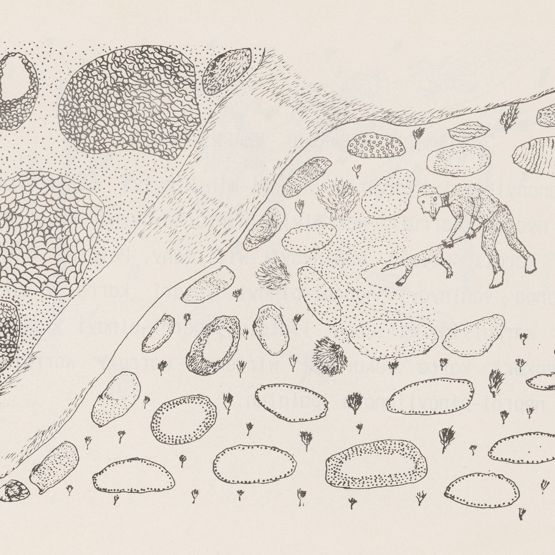 Warla Yirrirni Pirirrilu (from Kaninykarti 'Yarrarna Mangunyrrangu Yimpirni Solomonju')