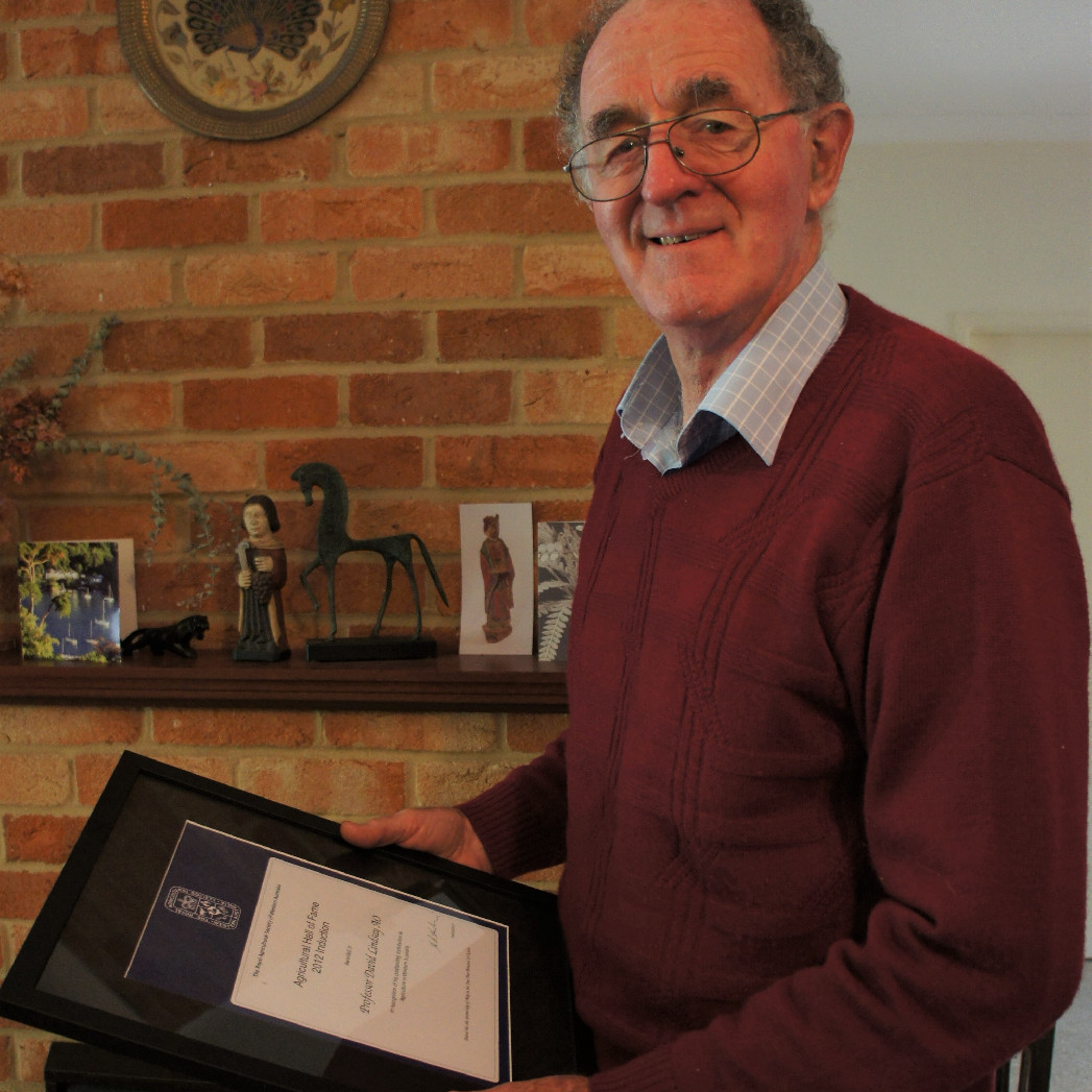 David Lindsay