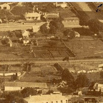 Ah Kim's market garden, Albany