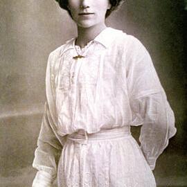 Shanhun Rose - photograph