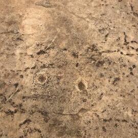 Mtetengwe petroglyph site cupules 2020.09.jpeg