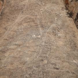 Mtetengwe petroglyph site giraffe 2021.10 (4).jpeg