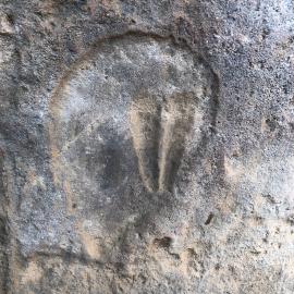Nottingham Ranch 7 spoor engraving 2020.09 (2).jpeg
