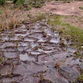 Domboshava granite pavement 2005.12.25.jpeg
