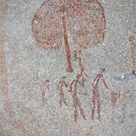 Bushmans Point tree 2003.10.29.jpeg