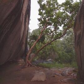 Nswatugi 2006.03.03 (4).jpeg