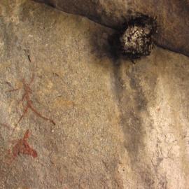 Nswatugi 2008.05.25 ex Jono Waters (1).jpeg