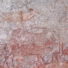 Nswatugi 2008.05.25 ex Jono Waters (2).jpeg