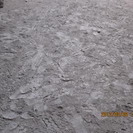 Nswatugi 2012.02.08 (6).jpeg